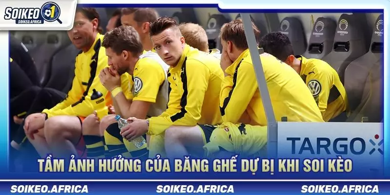 Tin Đội Hình Trước Trận Ảnh Hưởng Kèo Như Thế Nào? Băng ghế dự bị khi tin đội hình trước trận ảnh hưởng kèo