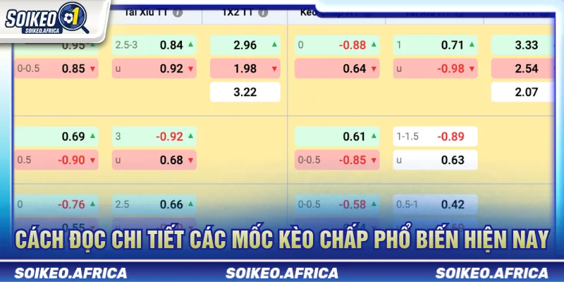 Kèo Chấp Bóng Đá Là Gì? Cách Đọc Handicap 0.25–1.0 Kèo chấp bóng đá là gì và cách đọc các mốc handicap