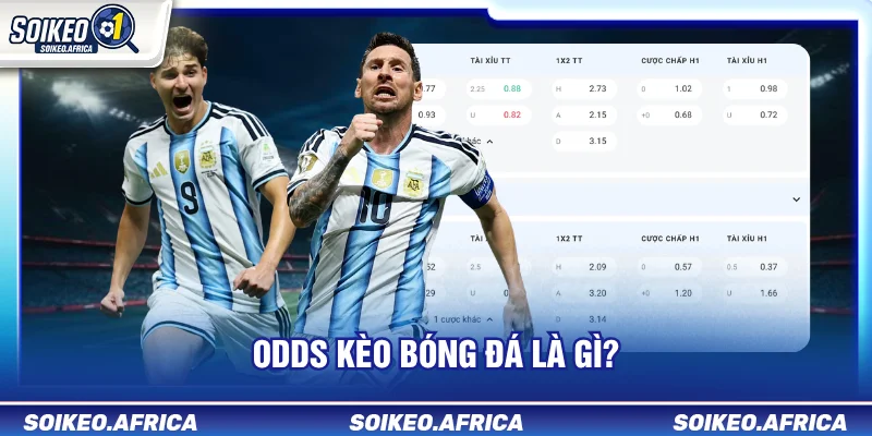 Odds Kèo Bóng Đá Là Gì? Cách Đọc Odds & Biến Động odds kèo bóng đá là gì