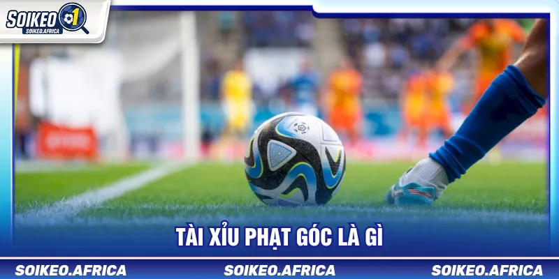 Tài Xỉu Phạt Góc Là Gì? Cách Đọc Mốc Corner & Odds Tài xỉu phạt góc là gì